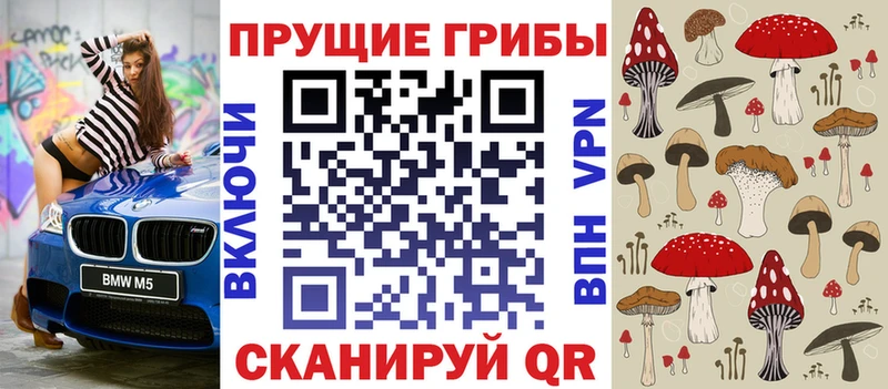 Псилоцибиновые грибы прущие грибы  mega рабочий сайт  Десногорск 